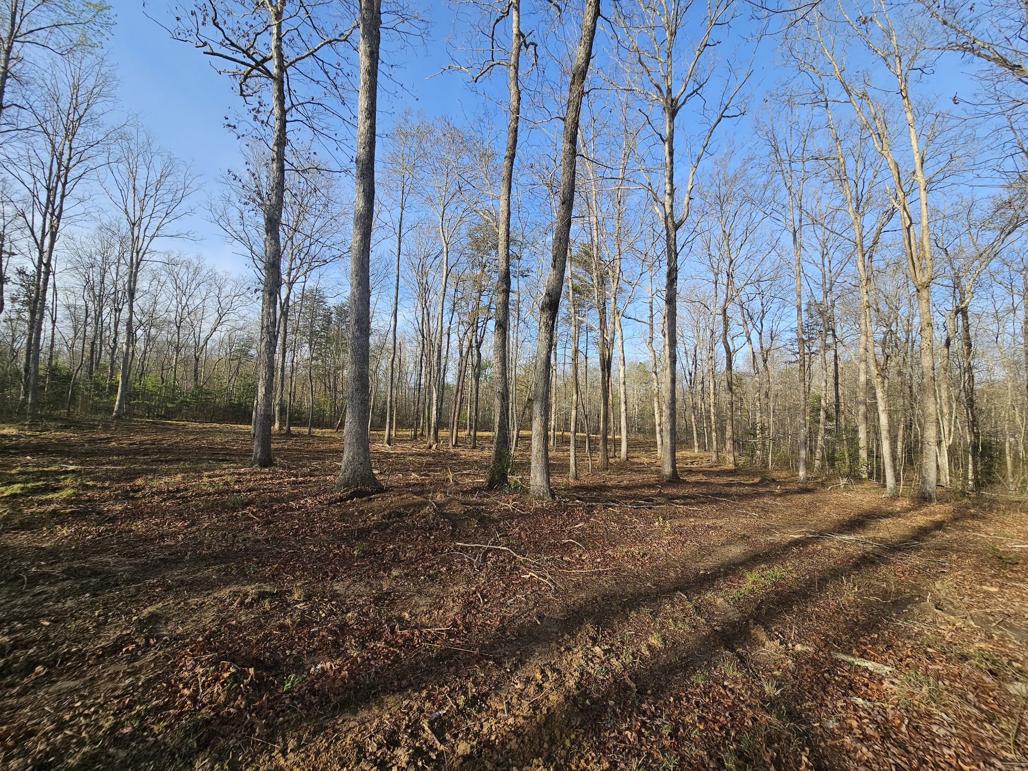 7 Fletcher Pickett Road Gruetli Laager TN 37339