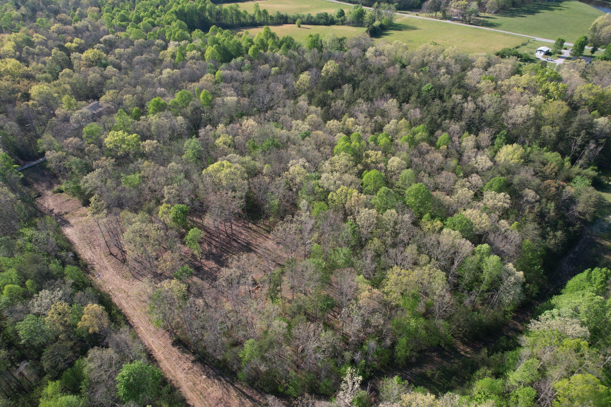 7 Fletcher Pickett Road Gruetli Laager TN 37339