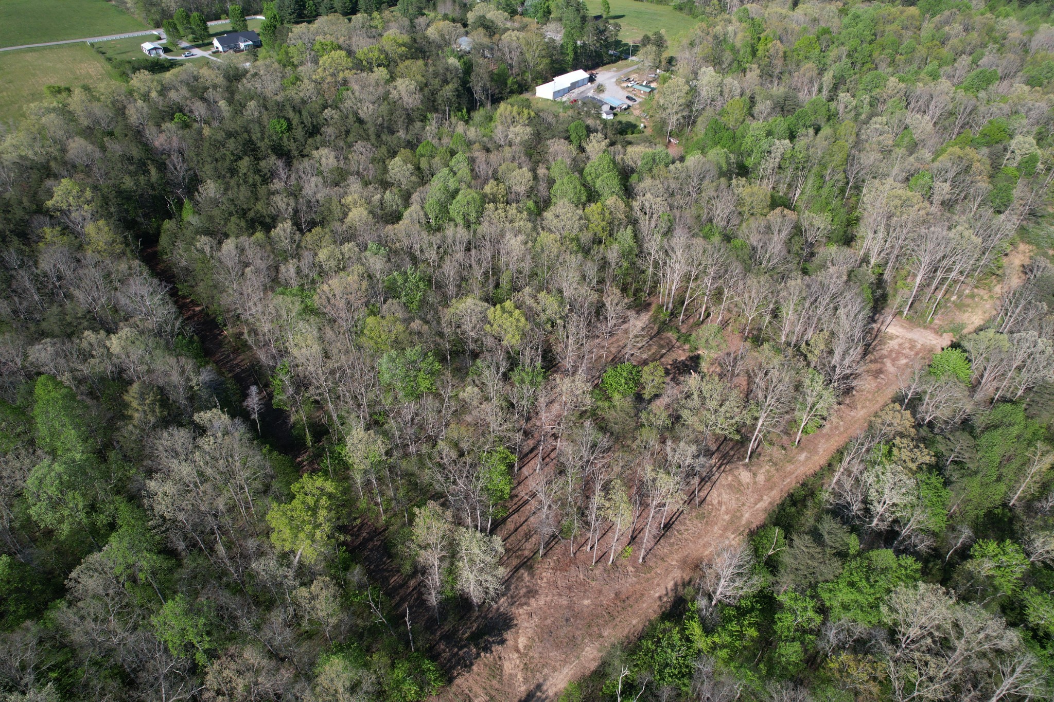7 Fletcher Pickett Road Gruetli Laager TN 37339