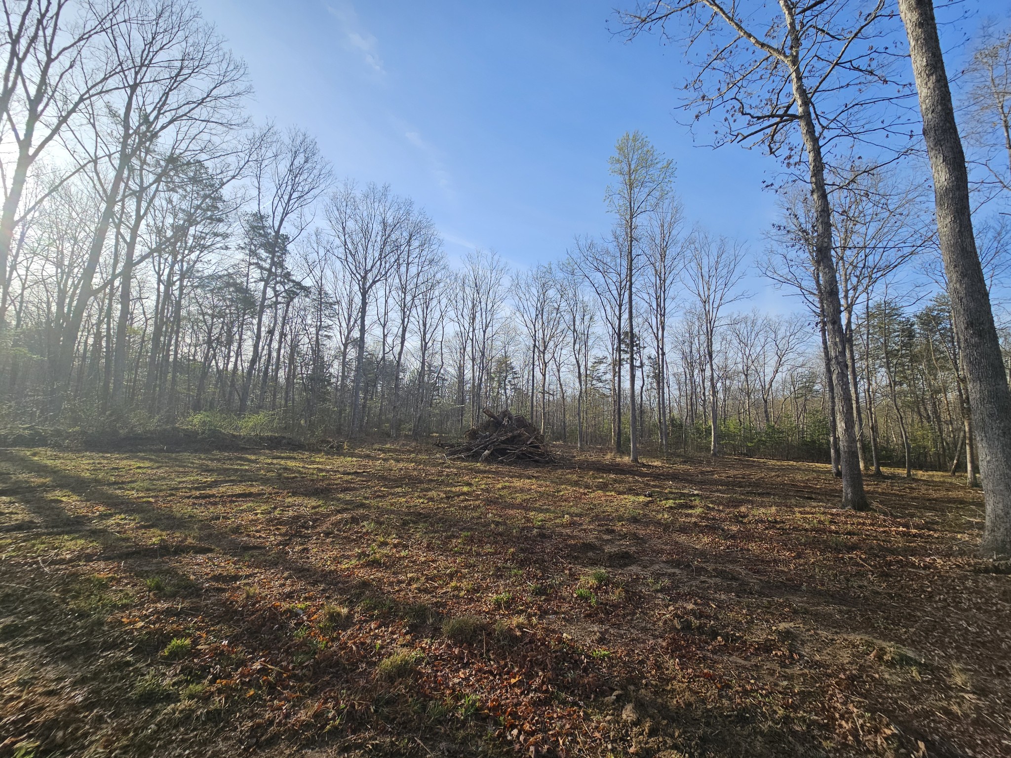 7 Fletcher Pickett Road Gruetli Laager TN 37339