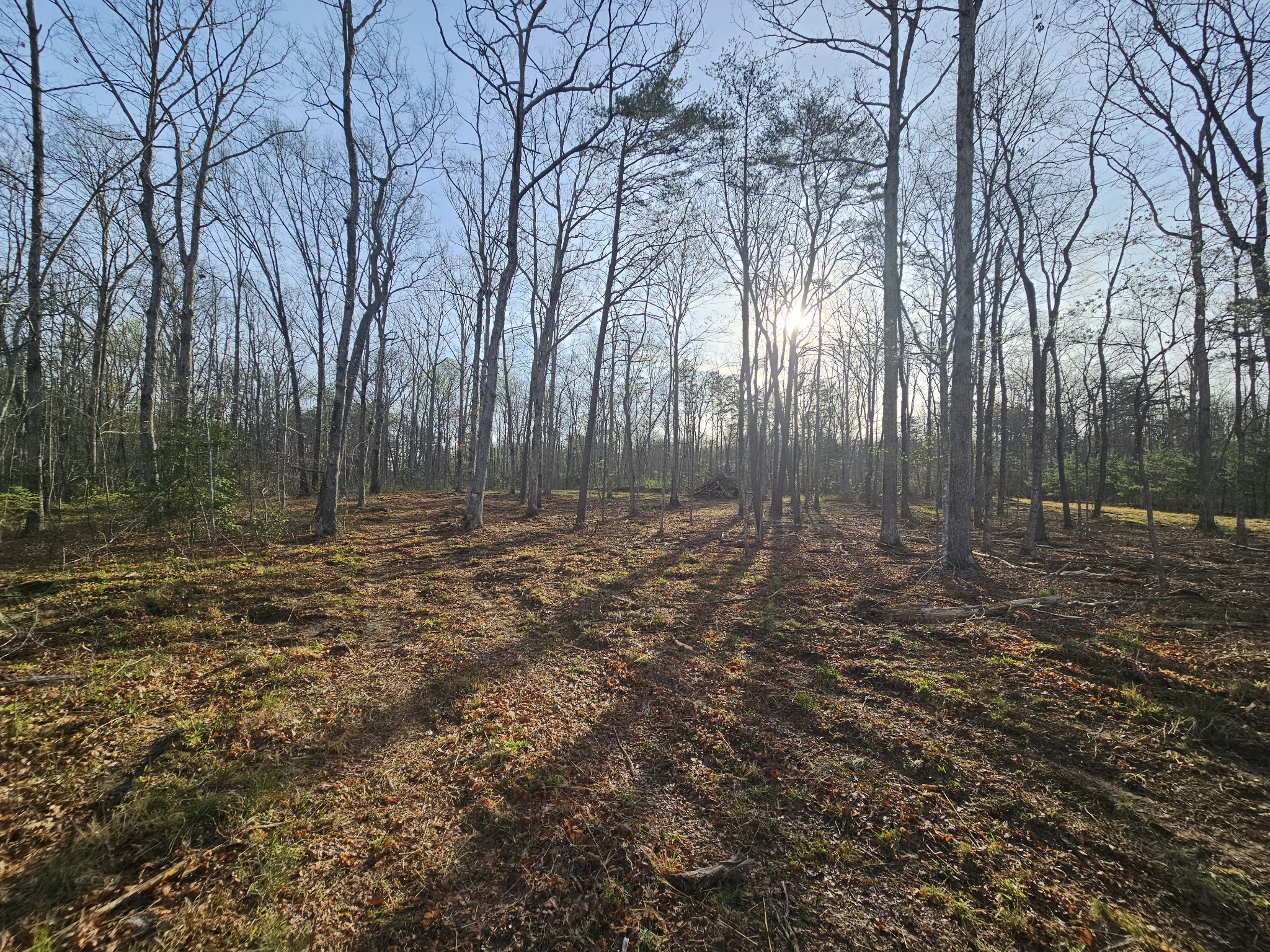 7 Fletcher Pickett Road Gruetli Laager TN 37339