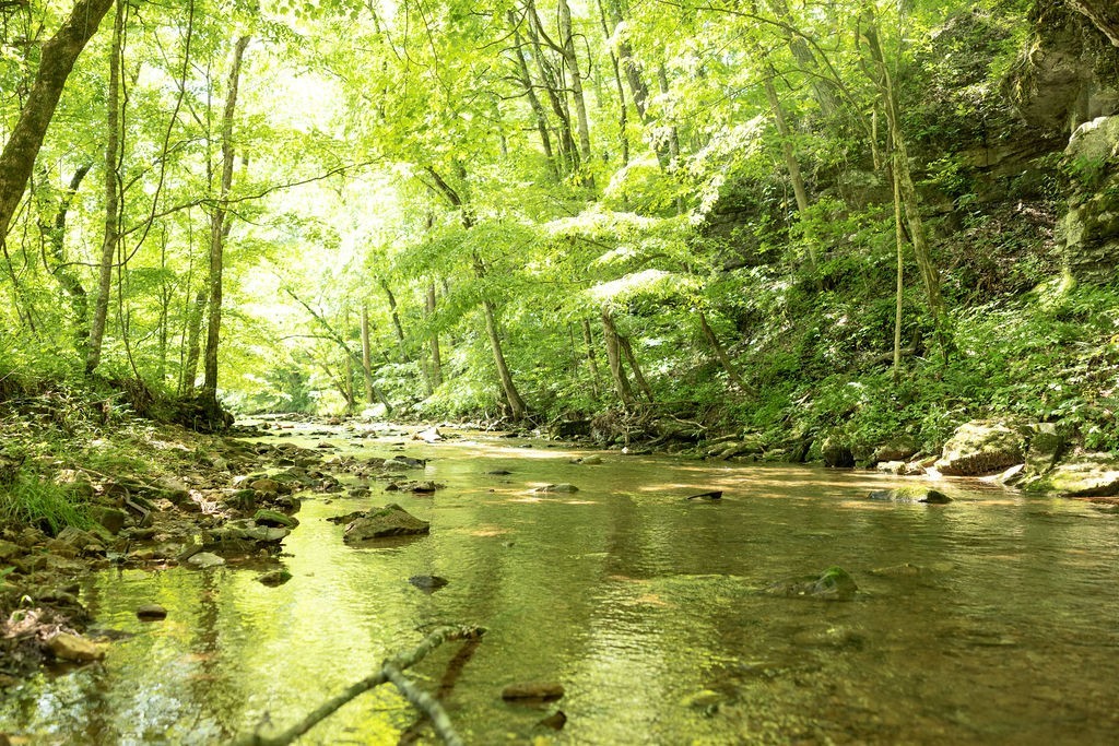 5590 Chambers Road Cumberland Furnace TN 37051