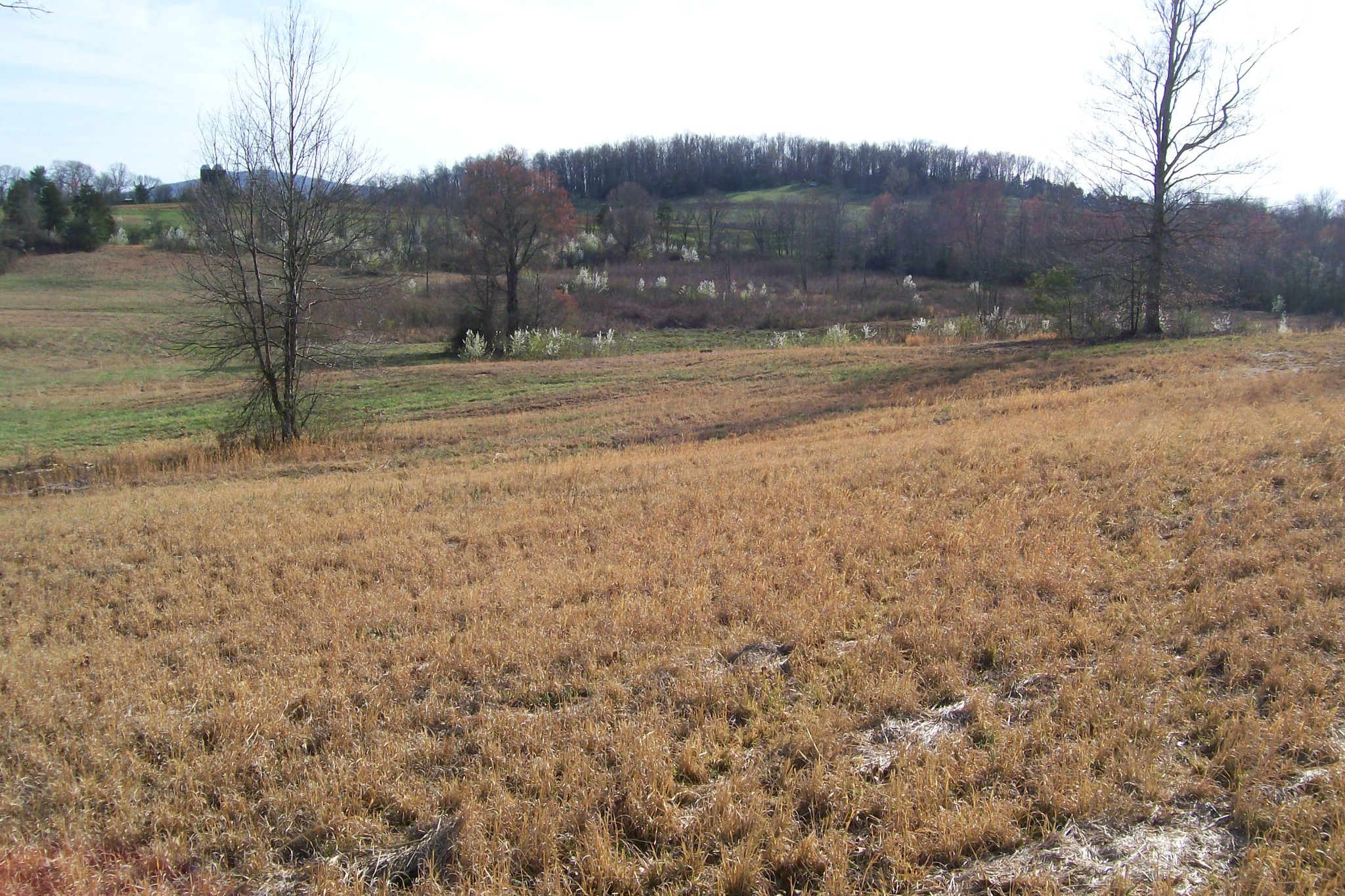 0 Rock Station Road Rock Island TN 38581