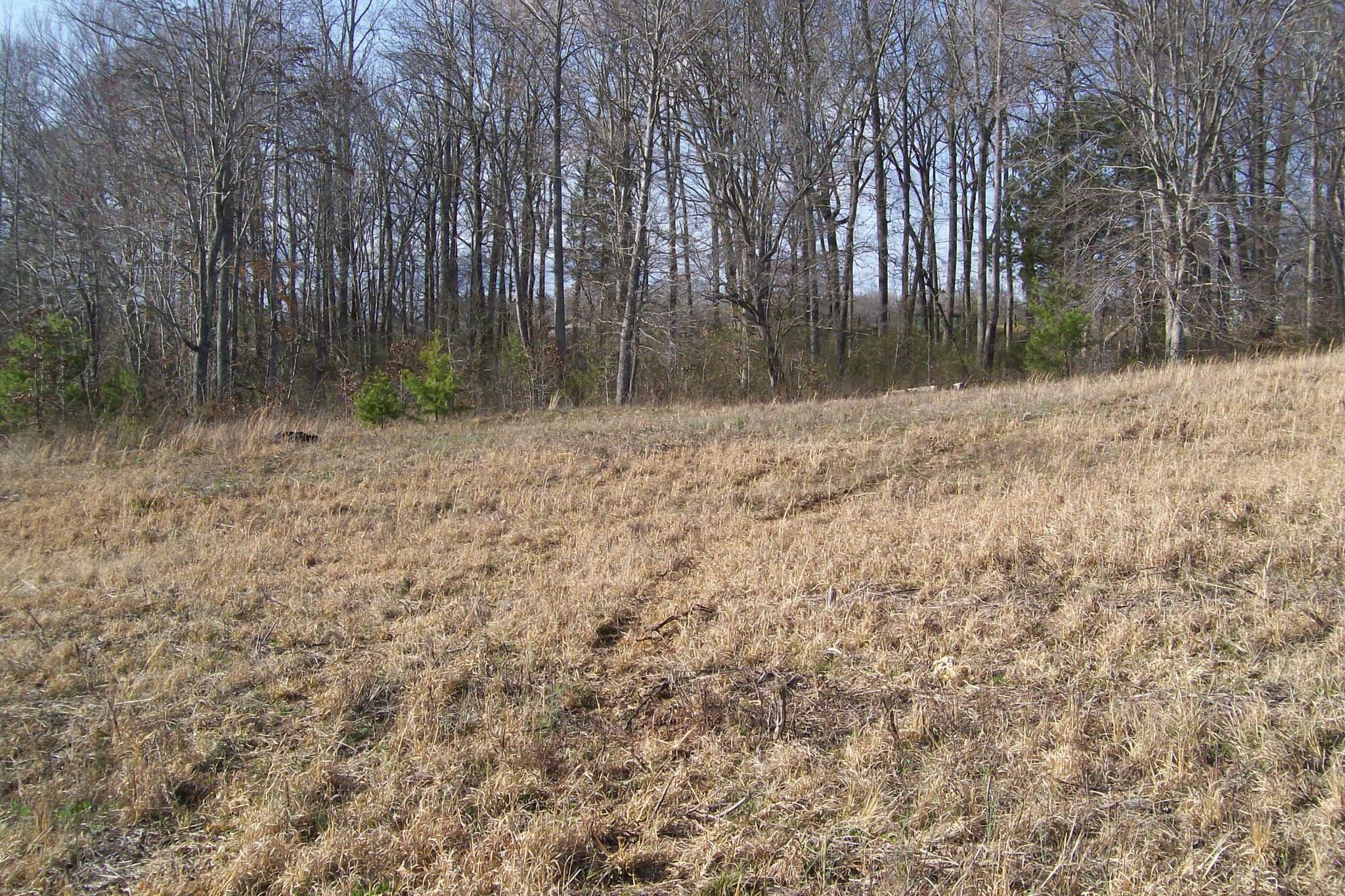 0 Rock Station Road Rock Island TN 38581