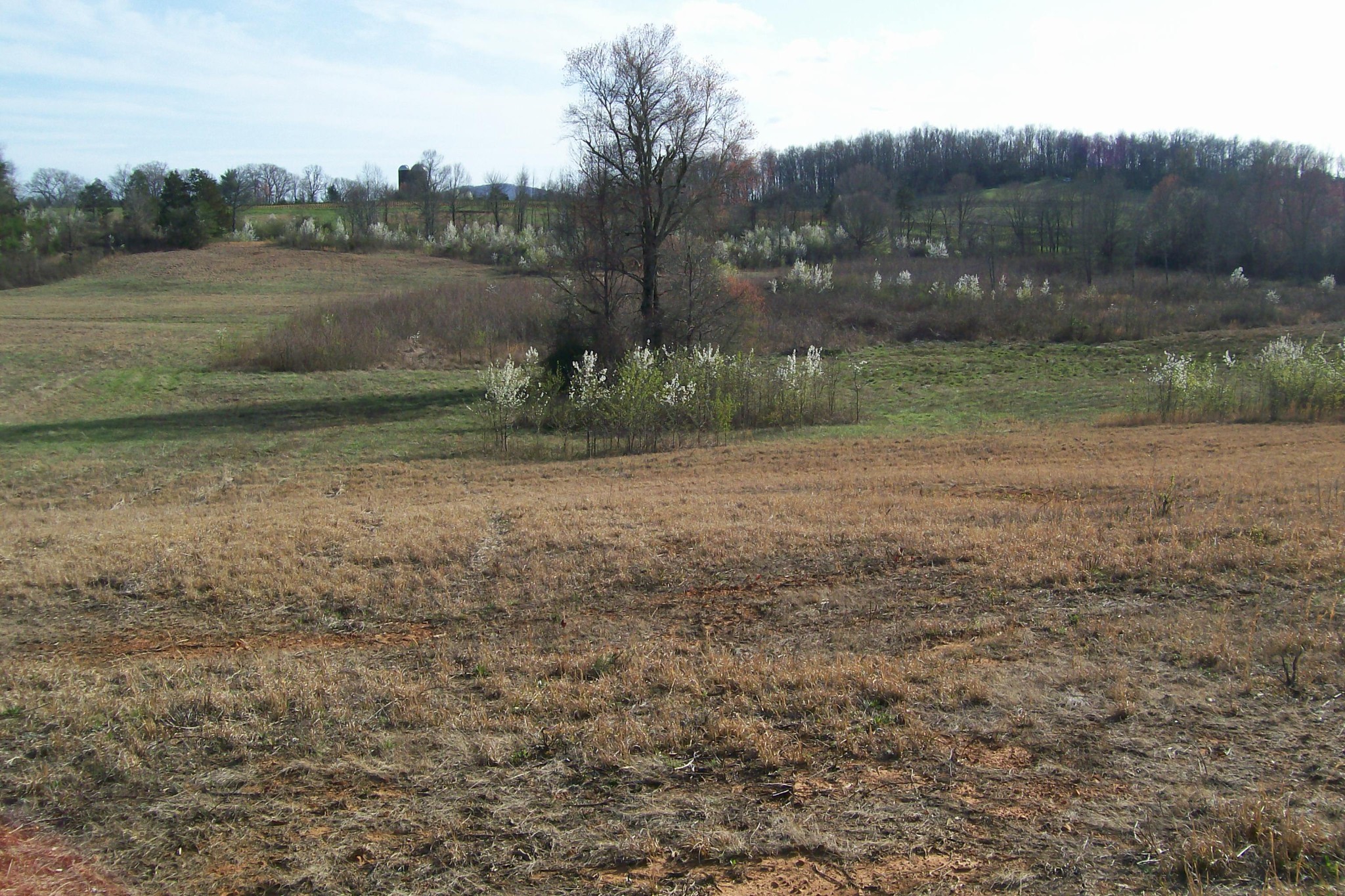 0 Rock Station Road Rock Island TN 38581