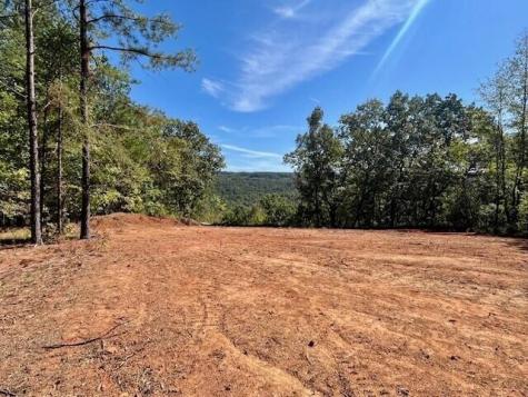 5580 Split Rail Way Guild TN 37340