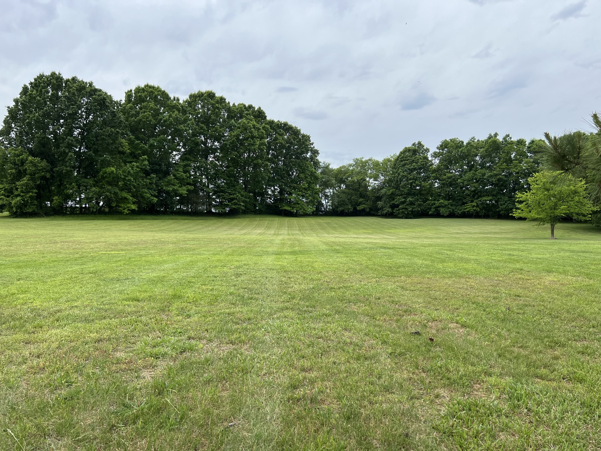 990 Bugscuffle Road Wartrace TN 37183