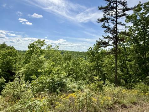 131 Gatlyn Lane Hohenwald TN 38462
