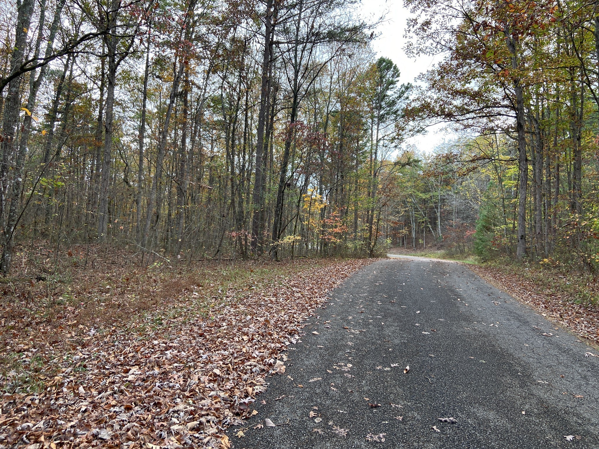 0 Caldwell Road Coalmont TN 37313