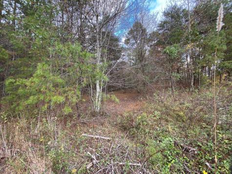 0 Caldwell Road Coalmont TN 37313