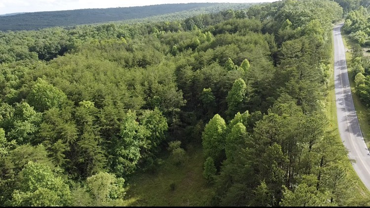 0 Caldwell Road Coalmont TN 37313