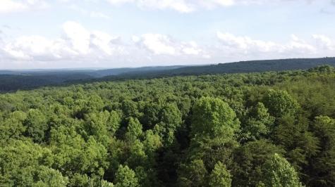 0 Caldwell Road Coalmont TN 37313