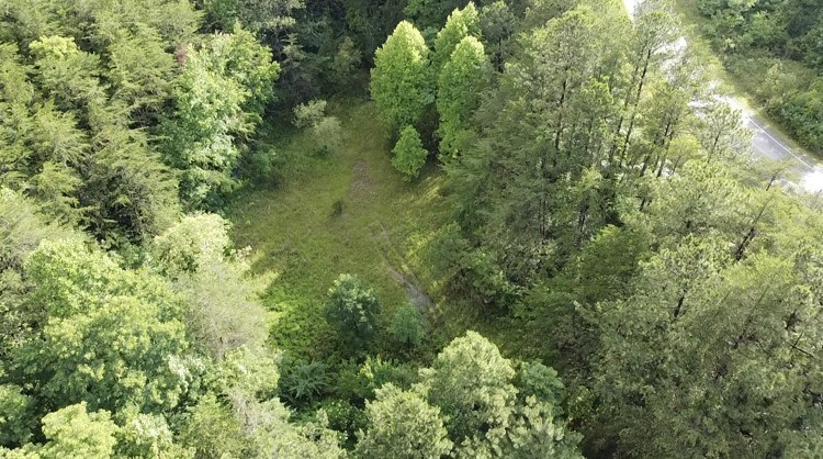0 Caldwell Road Coalmont TN 37313