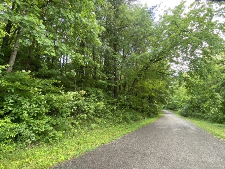 0 Caldwell Road Coalmont TN 37313