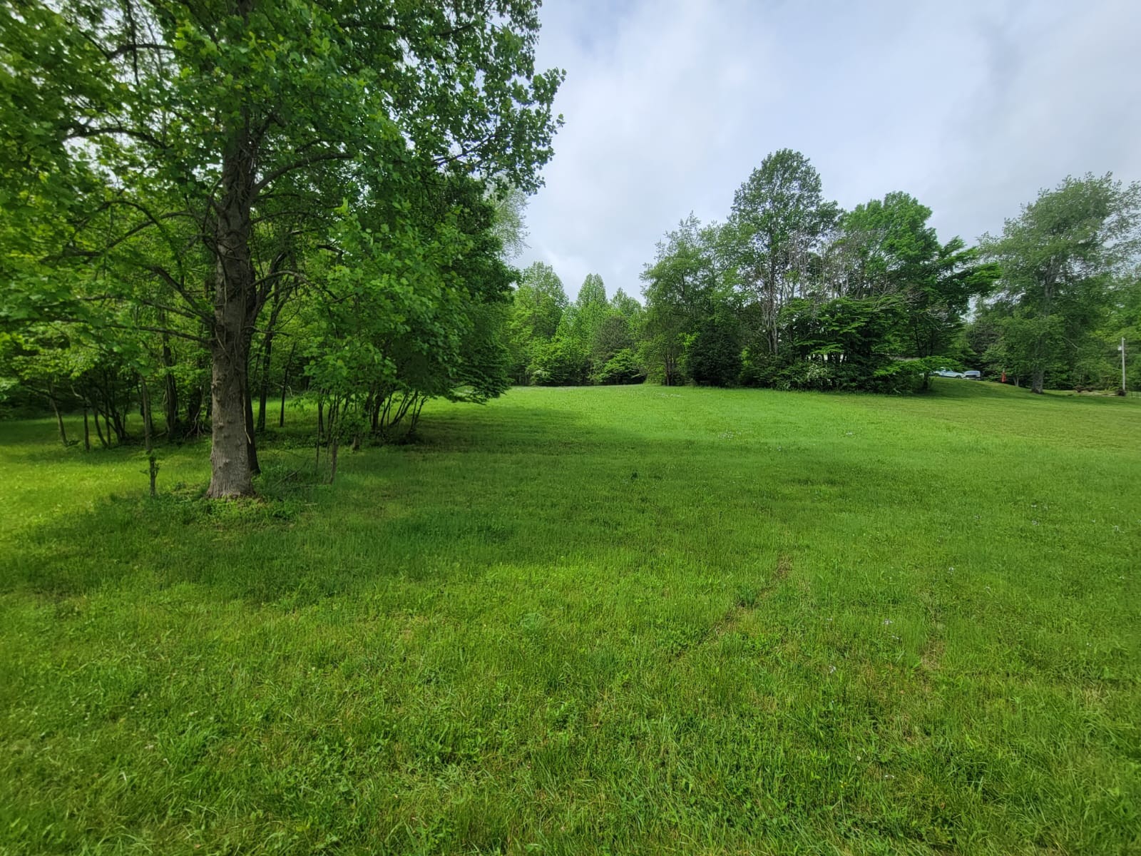 7410 Sleepy Hollow Lane Fairview TN 37062