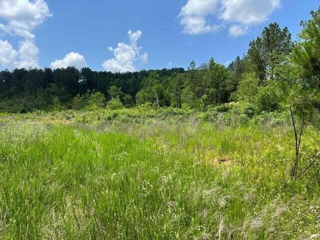 0 County Road Athens TN 37303
