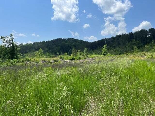 0 County Road Athens TN 37303