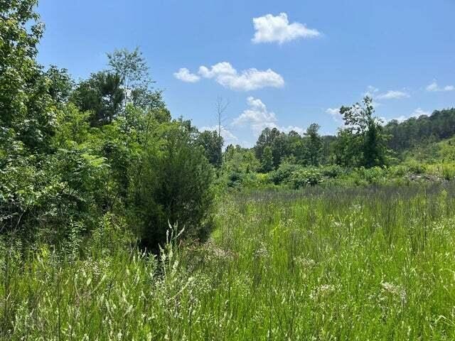 0 County Road Athens TN 37303