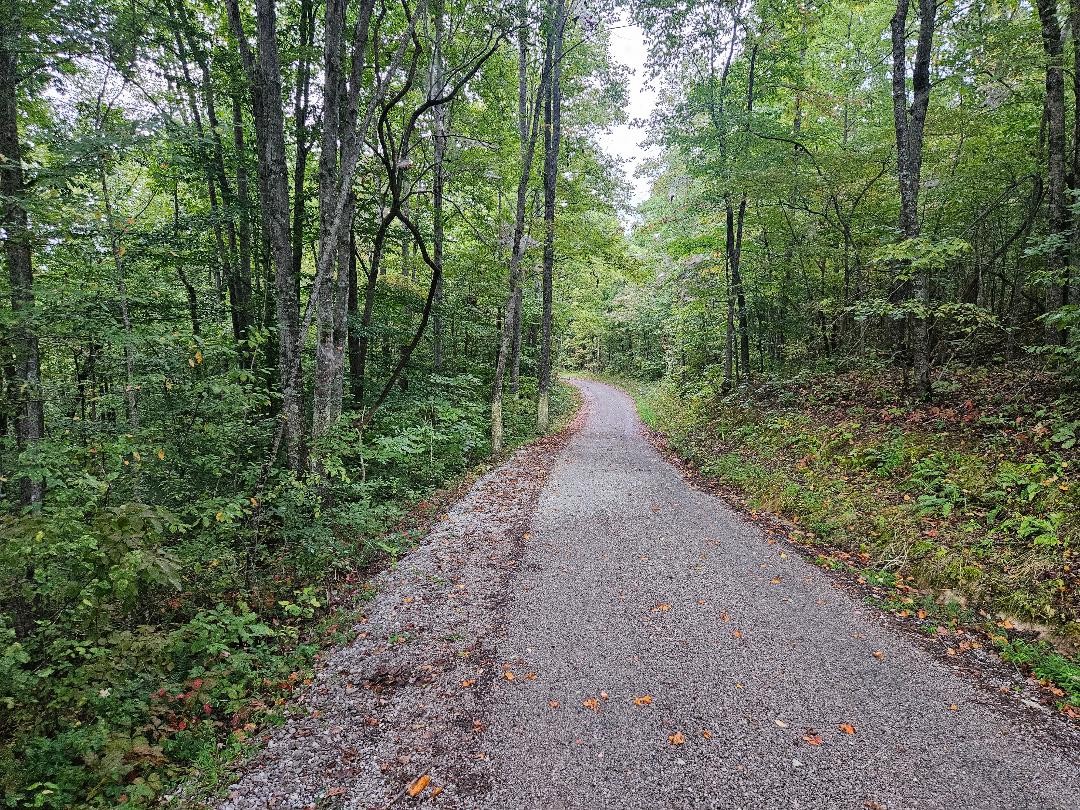 0 Sells Cemetery Road Wilder TN 38589