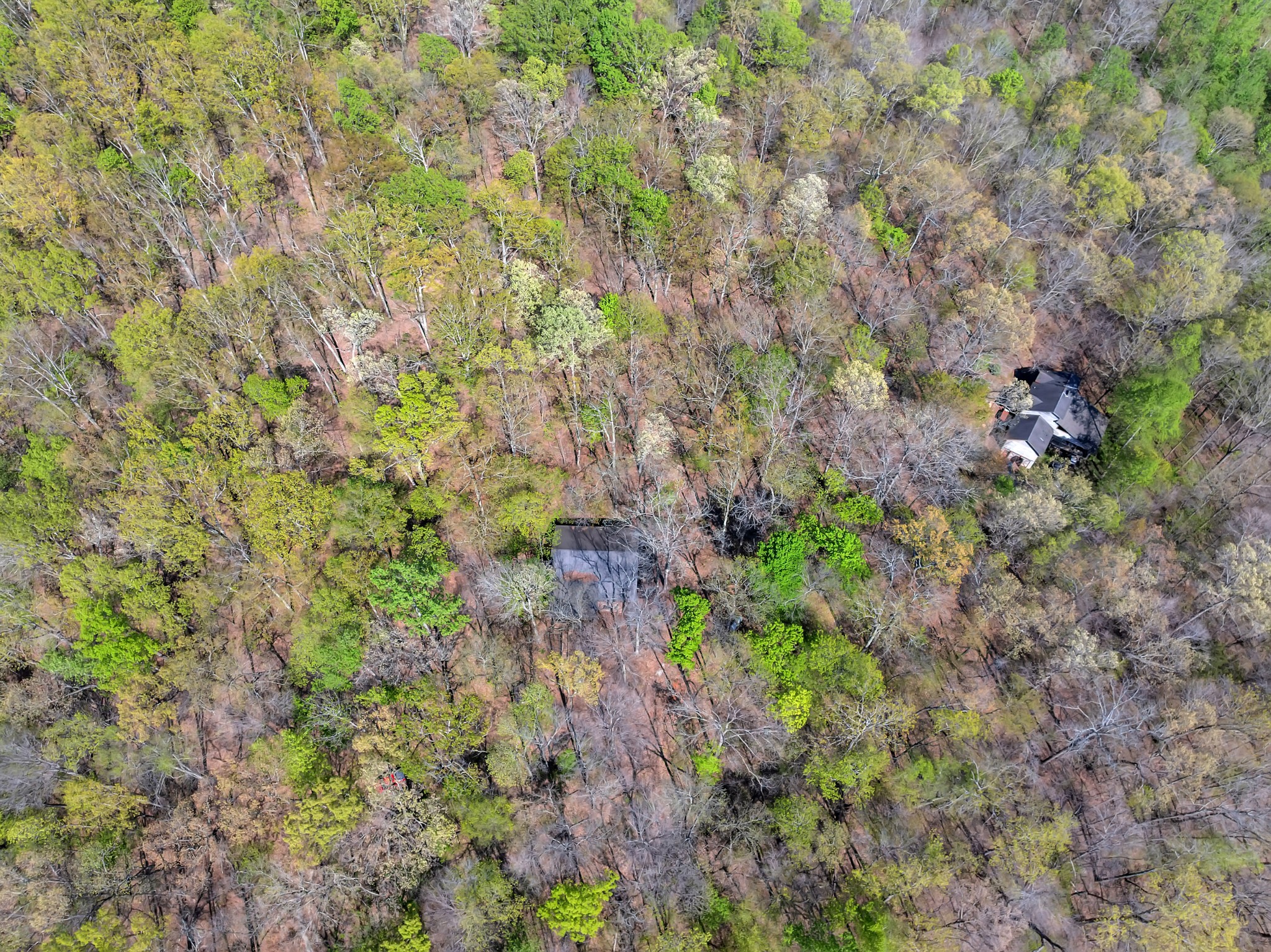 551 Shippmans Creek Road Wartrace TN 37183