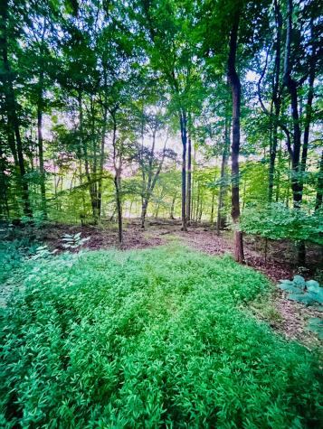 0 Trillium Way Cadiz KY 42211