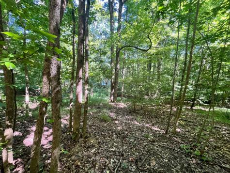 0 Trillium Way Cadiz KY 42211