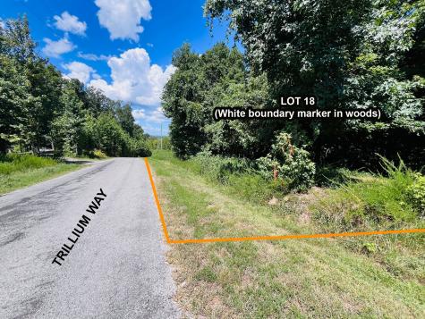 0 Trillium Way Cadiz KY 42211