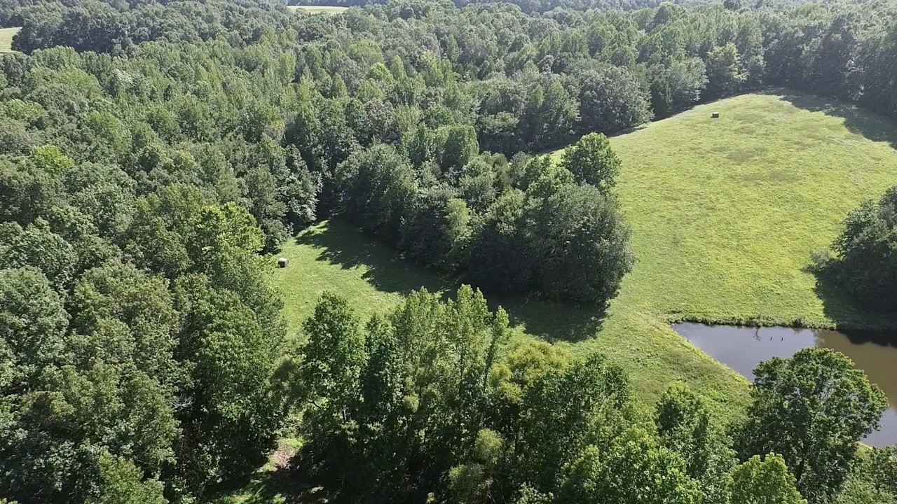 5128 Louise Road Cumberland Furnace TN 37051