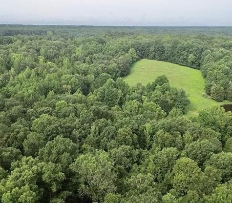 5128 Louise Road Cumberland Furnace TN 37051
