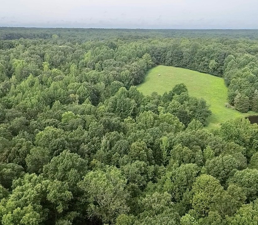 5128 Louise Road Cumberland Furnace TN 37051