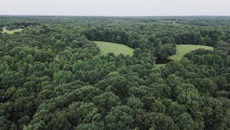 5128 Louise Road Cumberland Furnace TN 37051