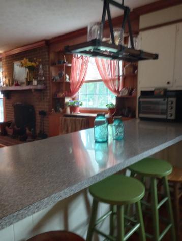 316 Old Highway 25 E Castalian Springs TN 37031