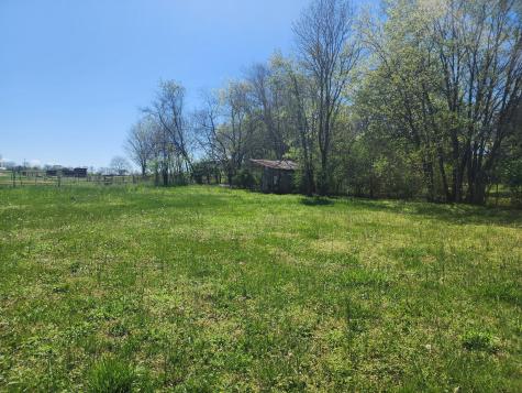 316 Old Highway 25 E Castalian Springs TN 37031