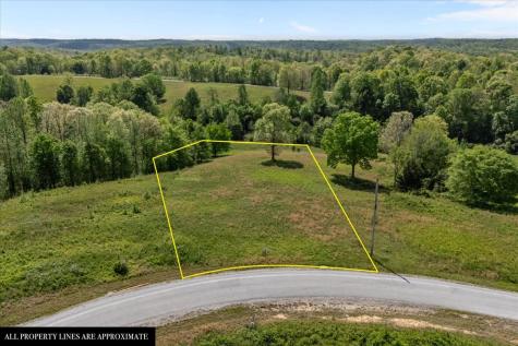 0 Blackhawk Court Waverly TN 37185