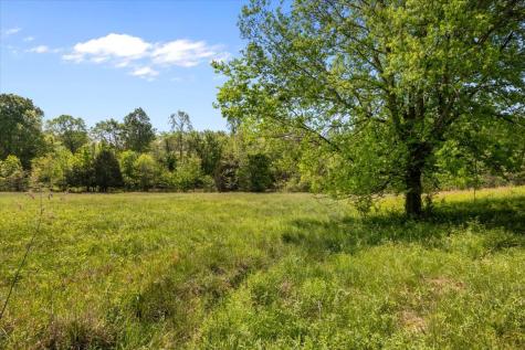 0 Blackhawk Court Waverly TN 37185