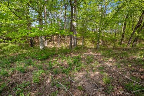 0 Blackhawk Court Waverly TN 37185