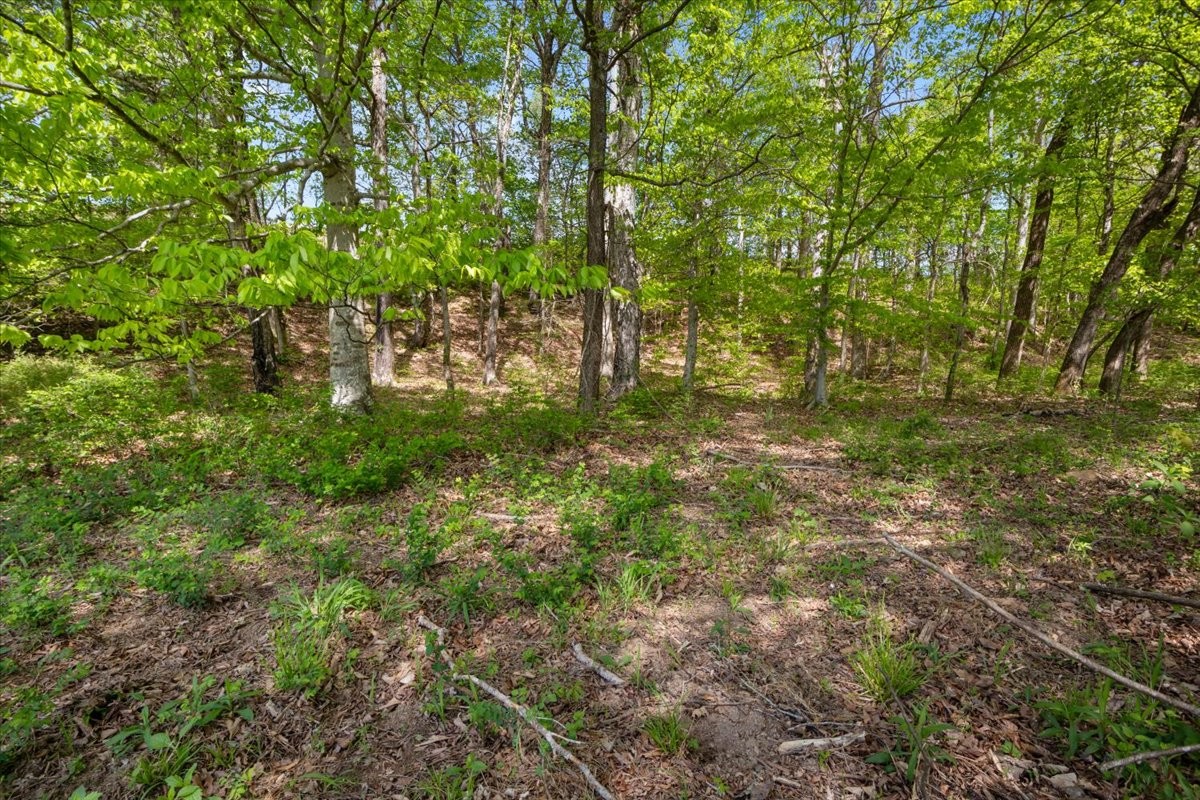 0 Blackhawk Court Waverly TN 37185