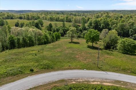 0 Blackhawk Court Waverly TN 37185
