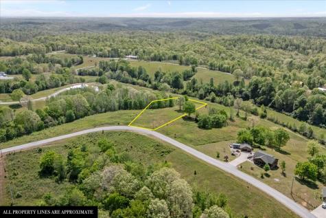 0 Blackhawk Court Waverly TN 37185
