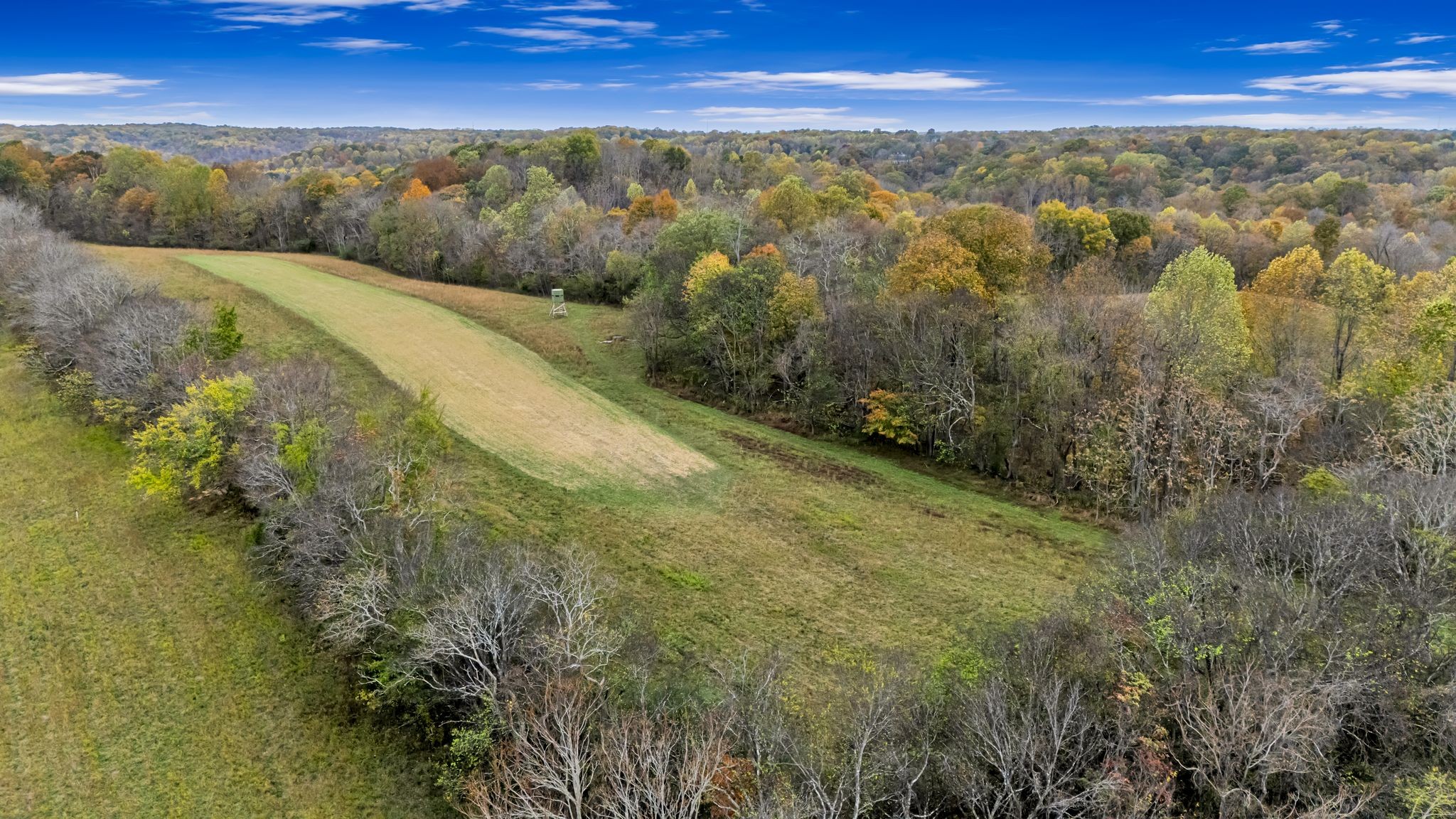 0 Ben Albert Road Cottontown TN 37048