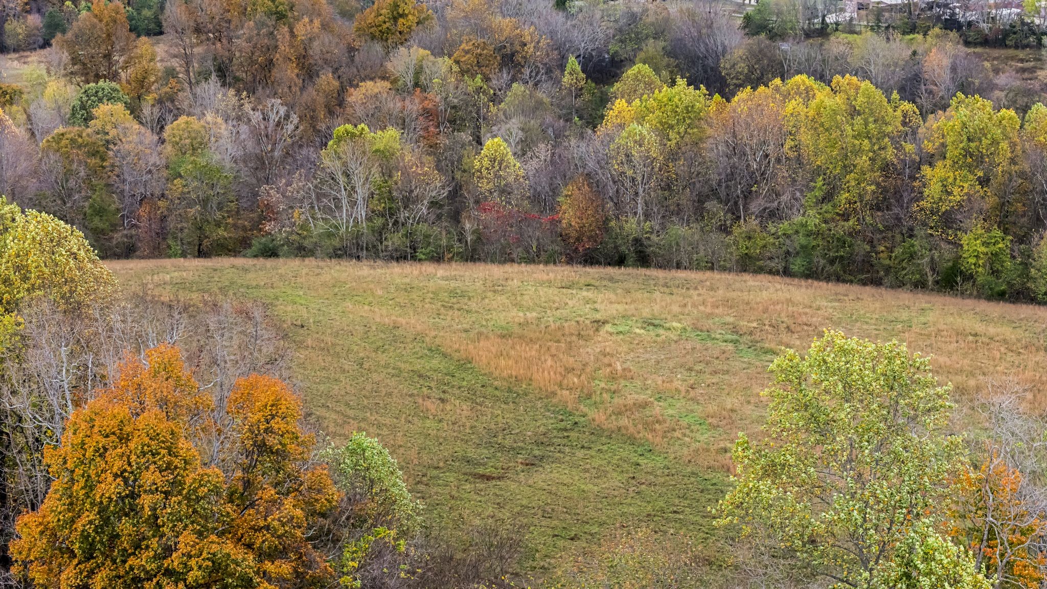 0 Ben Albert Road Cottontown TN 37048