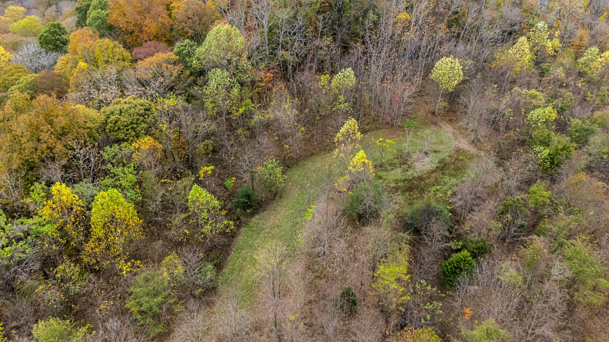 0 Ben Albert Road Cottontown TN 37048