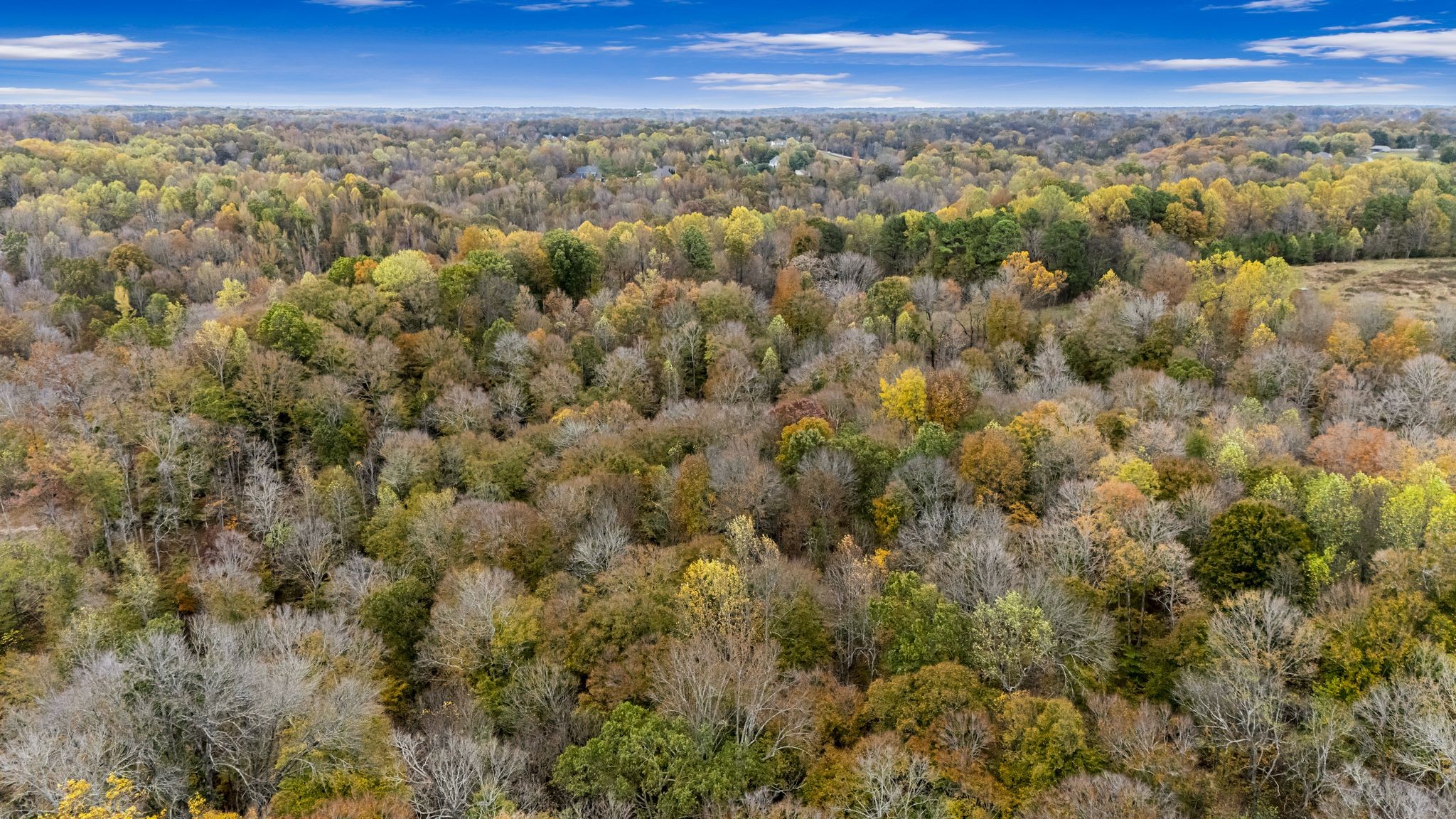 0 Ben Albert Road Cottontown TN 37048
