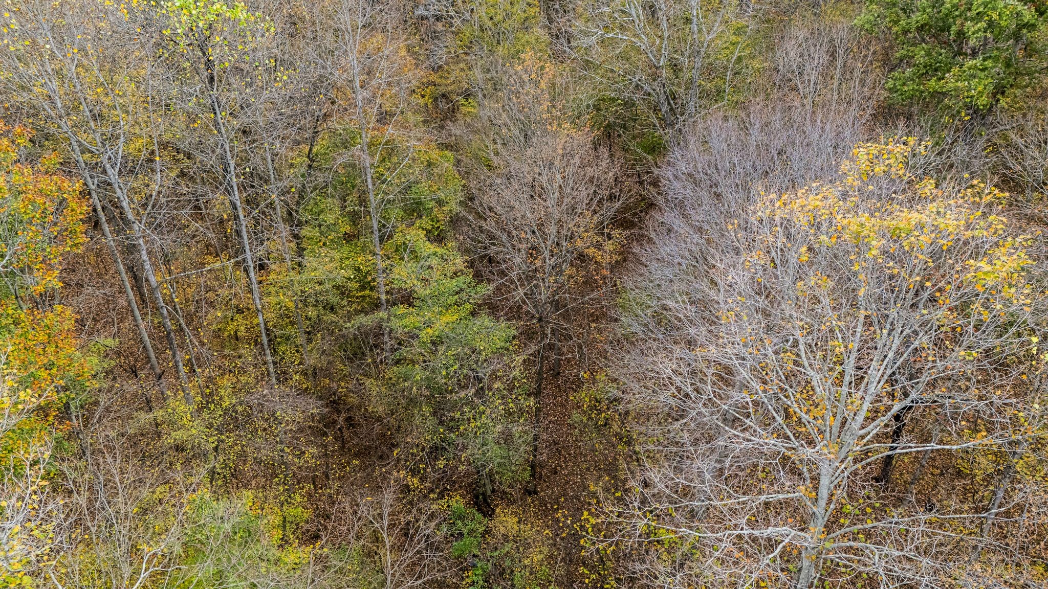 0 Ben Albert Road Cottontown TN 37048