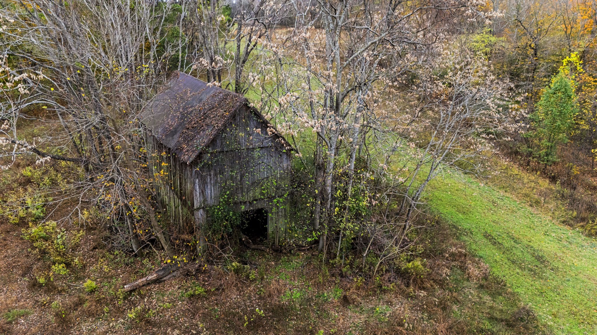 0 Ben Albert Road Cottontown TN 37048