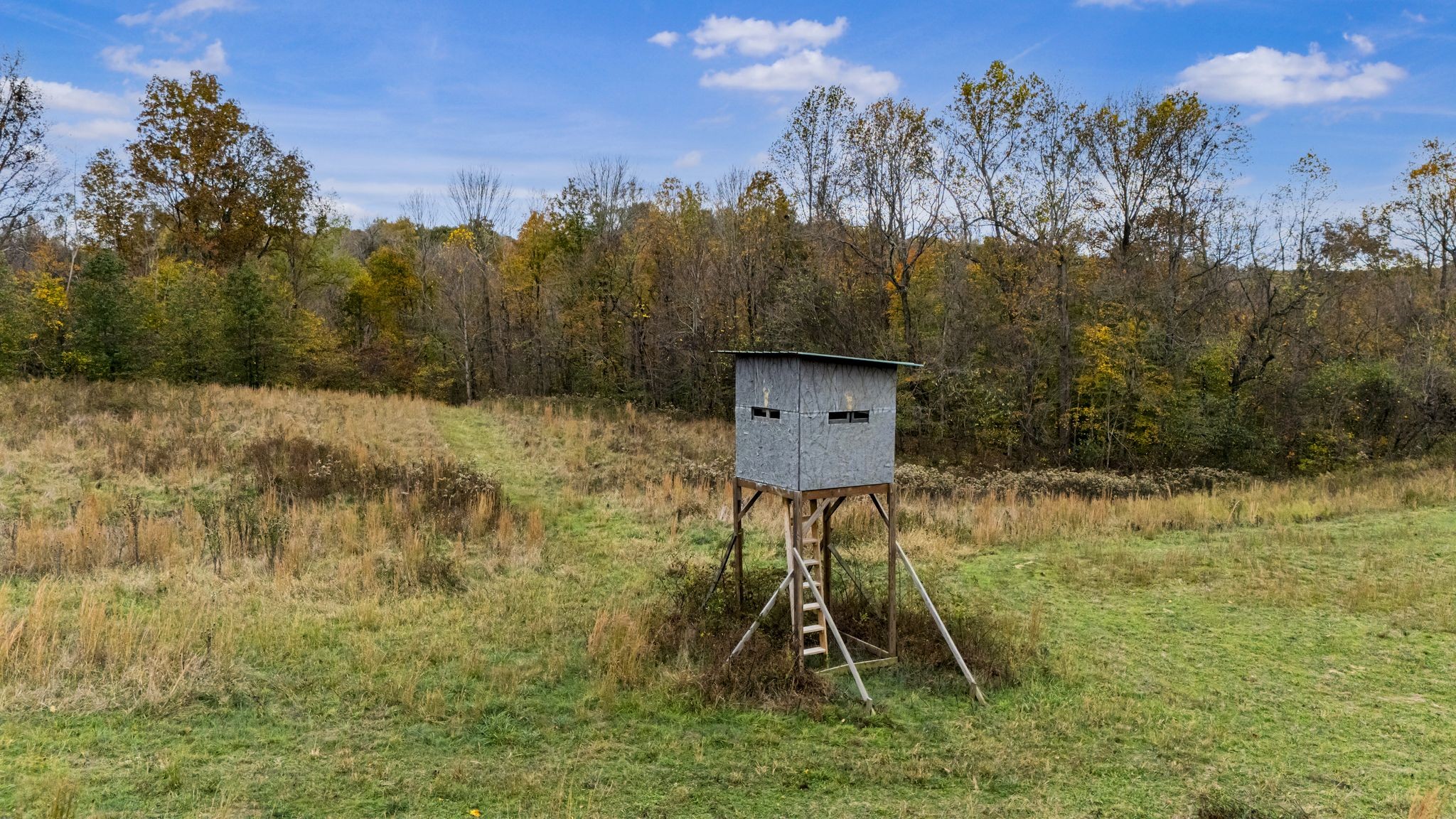 0 Ben Albert Road Cottontown TN 37048