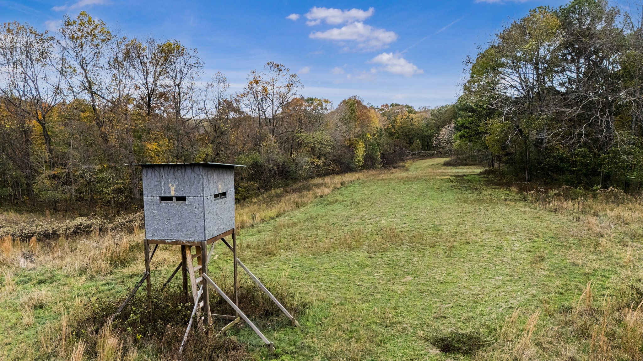 0 Ben Albert Road Cottontown TN 37048