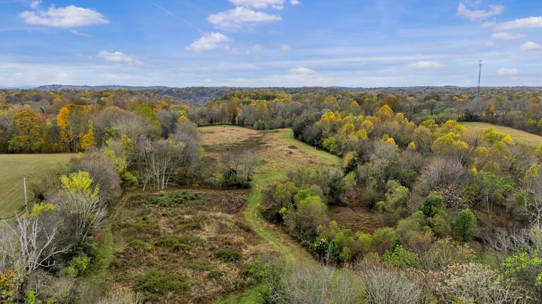 0 Ben Albert Road Cottontown TN 37048