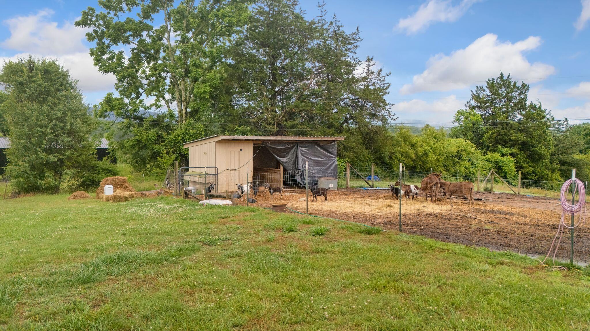 6866 Daus Mountain Road Whitwell TN 37397