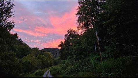 140 Carver Hollow Road Pleasant Shade TN 37145